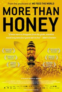 دانلود مستند More Than Honey 201240978-1046024653