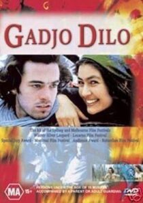 دانلود فیلم The Crazy Stranger 1997407241-1768548715