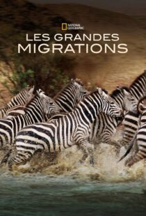 دانلود مستند Great Migrations417146-1568265120