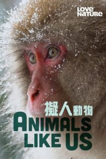 دانلود مستند Animals Like Us423066-1045219416