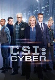 دانلود سریال CSI: Cyber428329-2135725696